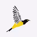 Rutas Aereas, C.A. dba  RUTACA