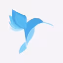 ეკოჯეტი