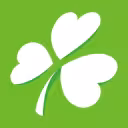 აერ ლინგუს