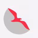 აირ არაბია