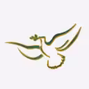 Southern Air Charter