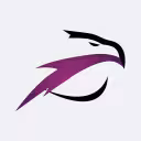 სქაი ვიჟენ ეარლაინსი