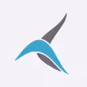 ტეილუინდ ეარლაინსი