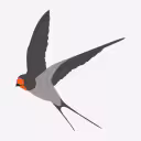 უნივერსალ ეარი