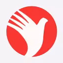 ნოკსქუთი