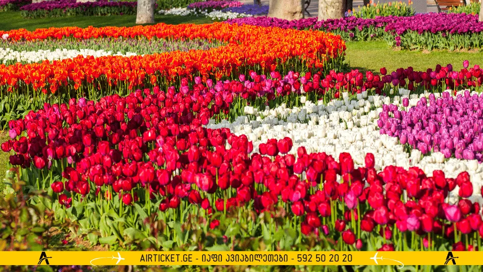 პარკი გიულჰანე